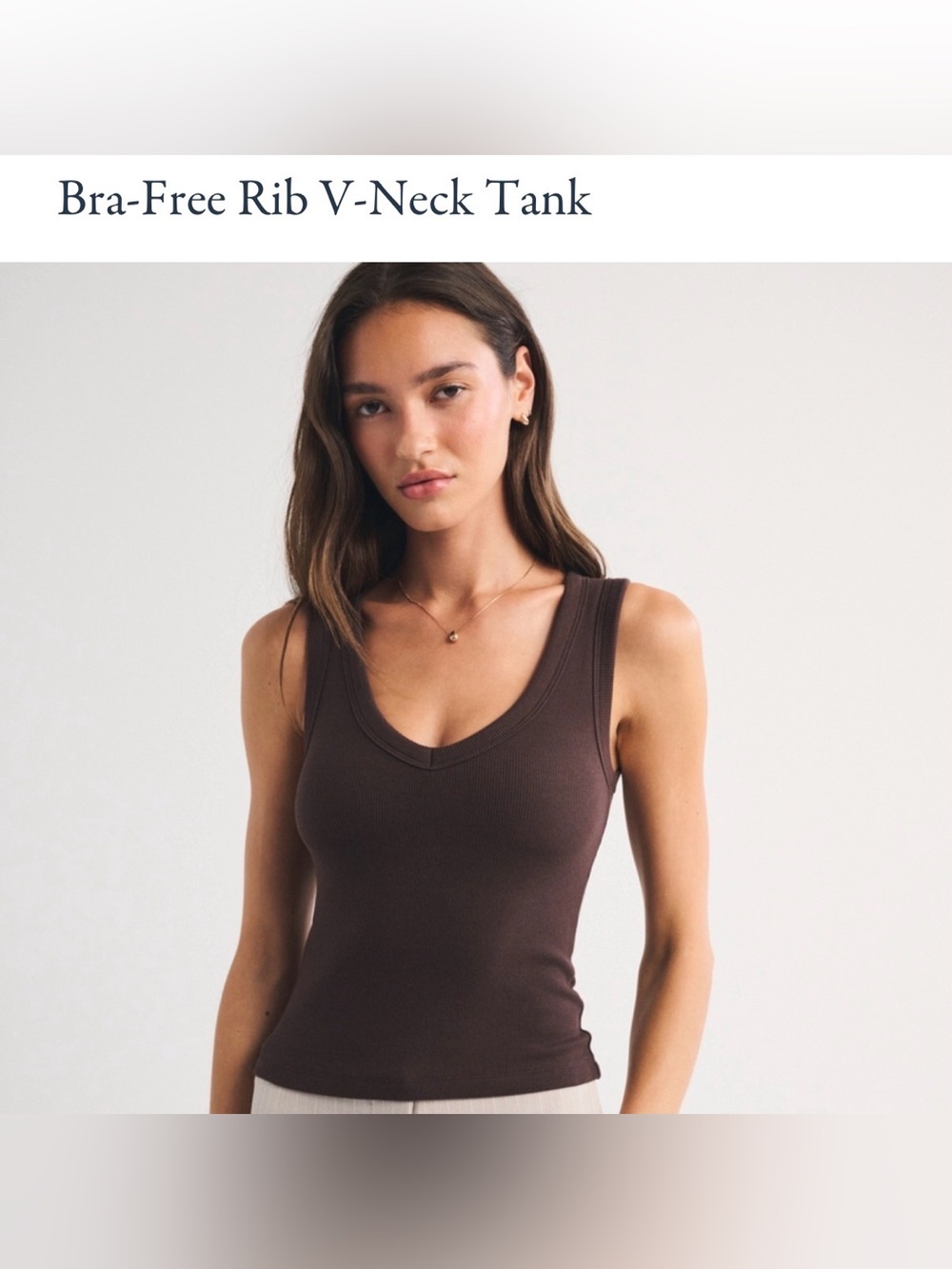 Abercrombie & Fitch Brown Bra-Free Rib V-Neck Tank